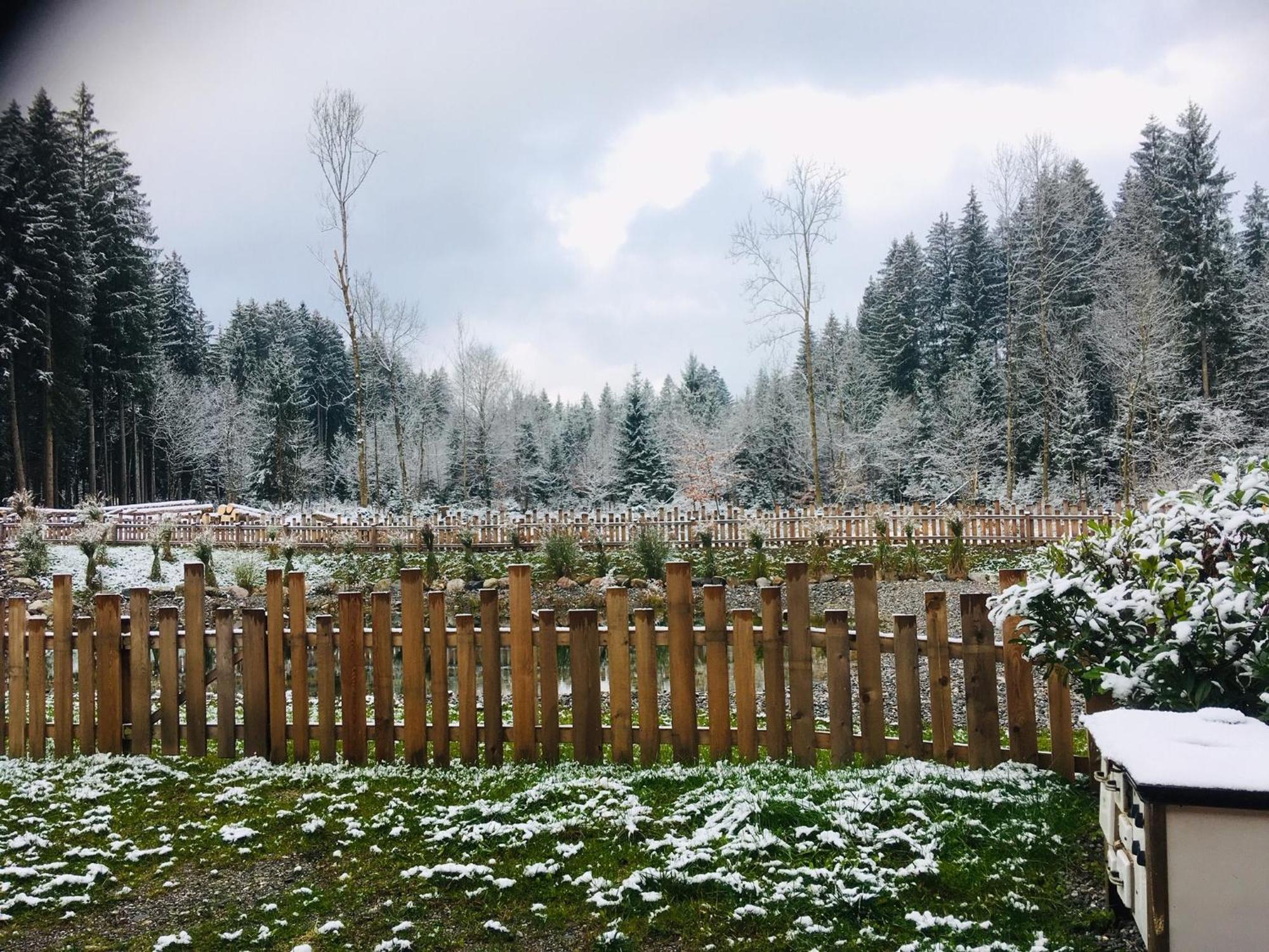 Willa Dobringers Chalet-Dorf Waroes Hermagor-Pressegger See Zewnętrze zdjęcie