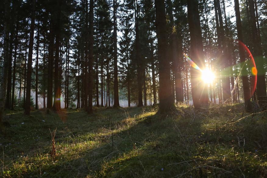 Willa Dobringers Chalet-Dorf Waroes Hermagor-Pressegger See Zewnętrze zdjęcie