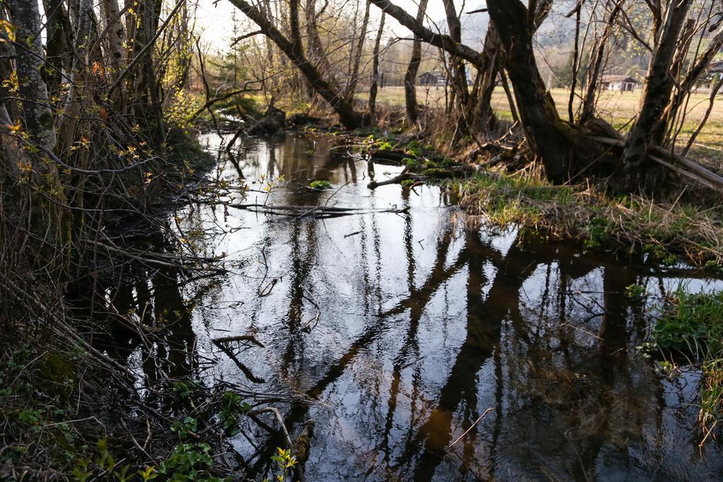 Willa Dobringers Chalet-Dorf Waroes Hermagor-Pressegger See Zewnętrze zdjęcie